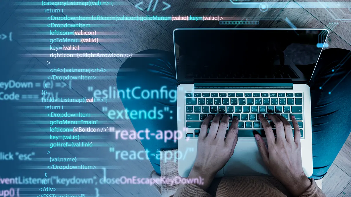 Python Developer