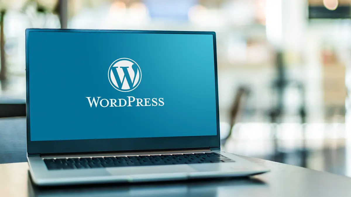 WordPress Developers